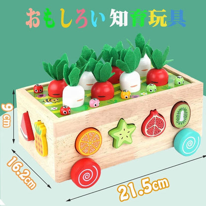 【脱スマホ・動画】3歳から夢中！モンテッソーリ 知育玩具 木のおもちゃ 指先レッスンBOX [にんじん抜き・磁石虫捕り・形合わせ] 天然木 安全塗装  幼児 プレゼント