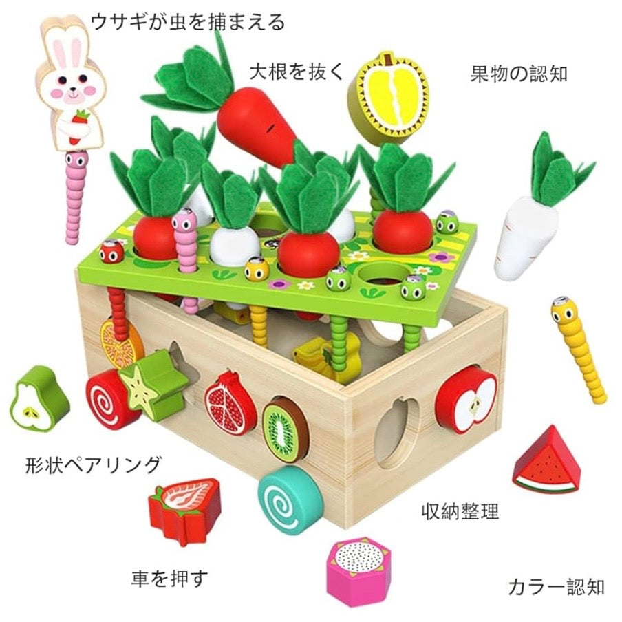 【脱スマホ・動画】3歳から夢中！モンテッソーリ 知育玩具 木のおもちゃ 指先レッスンBOX [にんじん抜き・磁石虫捕り・形合わせ] 天然木 安全塗装  幼児 プレゼント