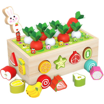【脱スマホ・動画】3歳から夢中！モンテッソーリ 知育玩具 木のおもちゃ 指先レッスンBOX [にんじん抜き・磁石虫捕り・形合わせ] 天然木 安全塗装  幼児 プレゼント